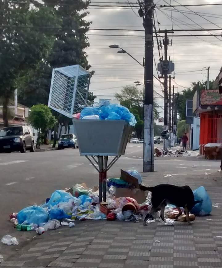 Agora a cidade não coleta o lixo em muitos bairros.