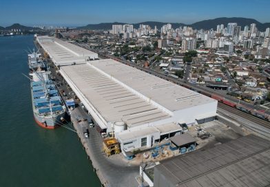 Suzano quebra novo recorde histórico