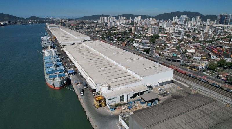 Suzano quebra novo recorde histórico